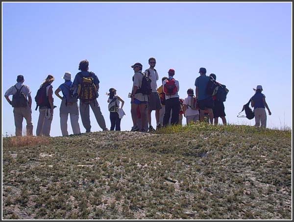 La figura del Gua de Turismo en la legislacin local