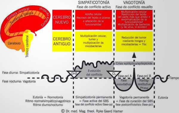 Hablemos de La Nueva Medicina Germnica