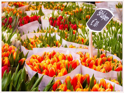 El colorido Mercado de las flores de msterdam