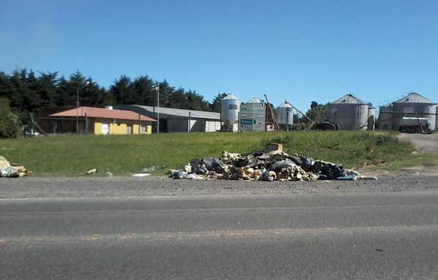 Descargan basura en un sector de banquinas de la 226